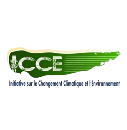 Logo ICCE